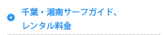 オプションプラン